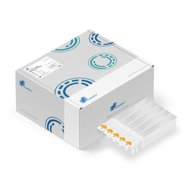 IntelliPrep cfDNA Extraction Kit (≤5mL)